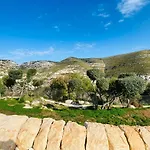 Olimpo * Avola
